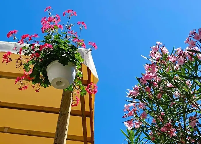 Le Lagon Rose Siblu Le Mar Estang Canet-en-roussillon, 2 Rooms, 2 Bathrooms, 2 Tv, Free Wifi, Sheets & Towels Included, At 5 Mn Walk Camping Canet-en-Roussillon