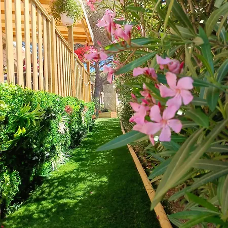 Camping Le Lagon Rose Siblu Le Mar Estang Canet-en-roussillon, 2 Rooms, 2 Bathrooms, 2 Tv, Free Wifi, Sheets & Towels Included, At 5 Mn Walk Canet-en-Roussillon